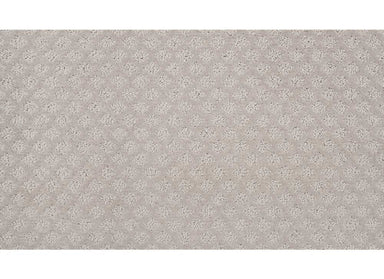 True Match Ii in Stardust Carpet