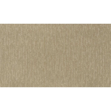 Desert Sand