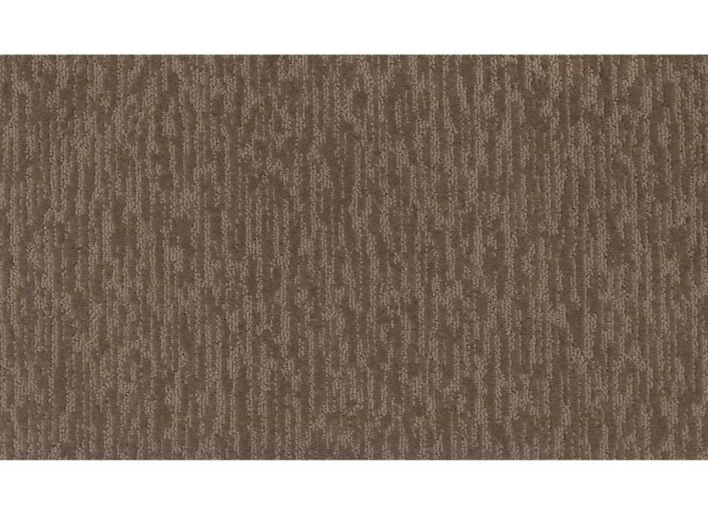 Dynamic Design II in Sonora Carpet