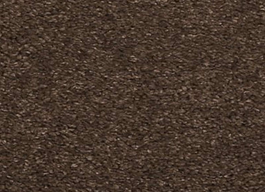 Noble Tone in Fortress Carpet
