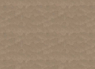 Cayucos Point I in Sandy Carpet