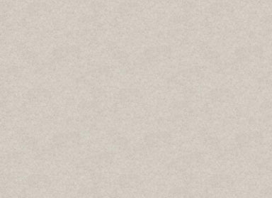 Lake House II in Ozark Carpet