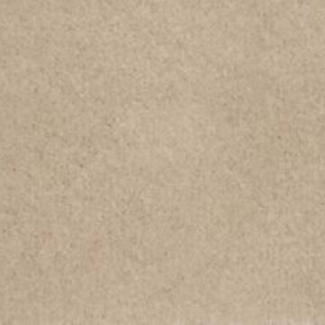 Champagne Beige