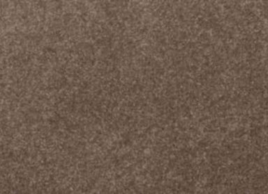 Lifetime Achiever II in Russet Carpet