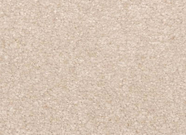 Creative Outlet I in Century Blush Carpet