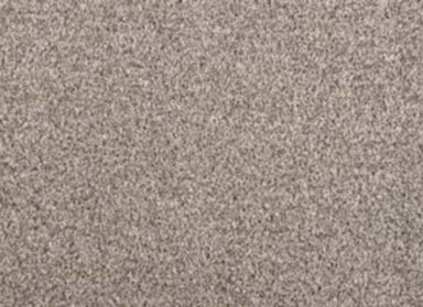 Noble Space in Ice Fox Carpet