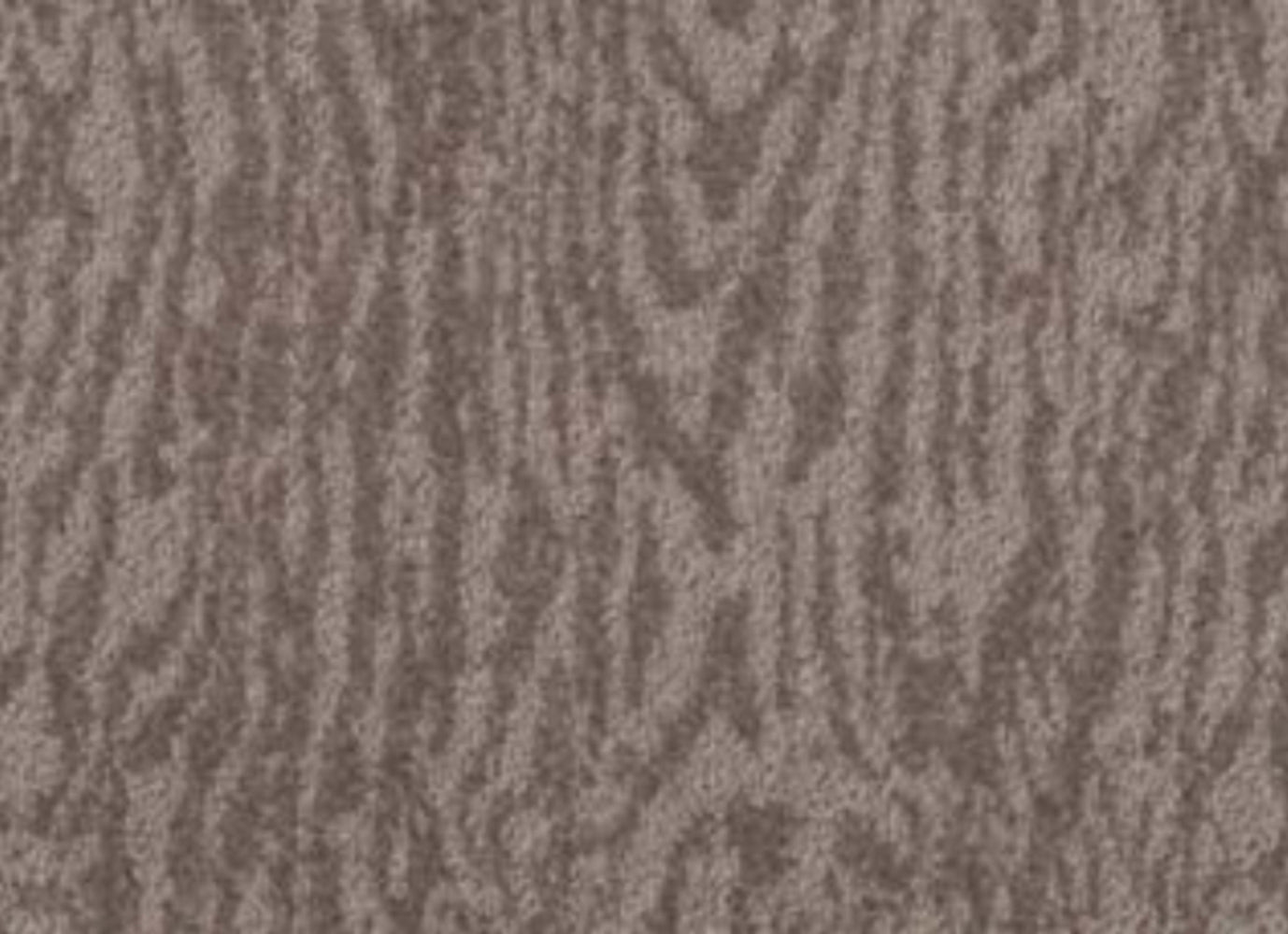 Timber View in Lead Carpet