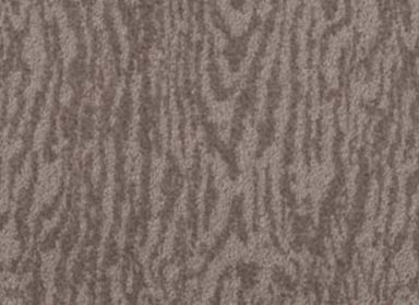 Timber View in Lead Carpet