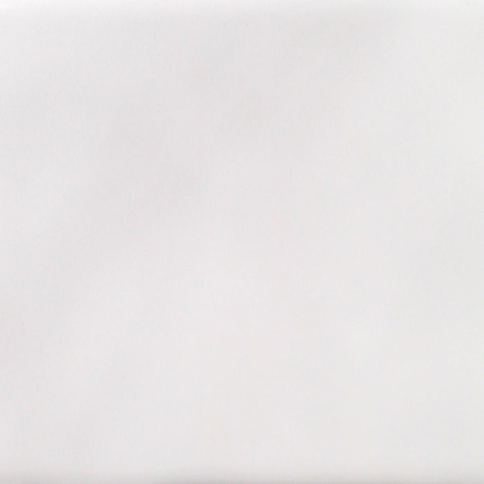 Buteo - 3x12 in White Glossy - 3x12 Tile