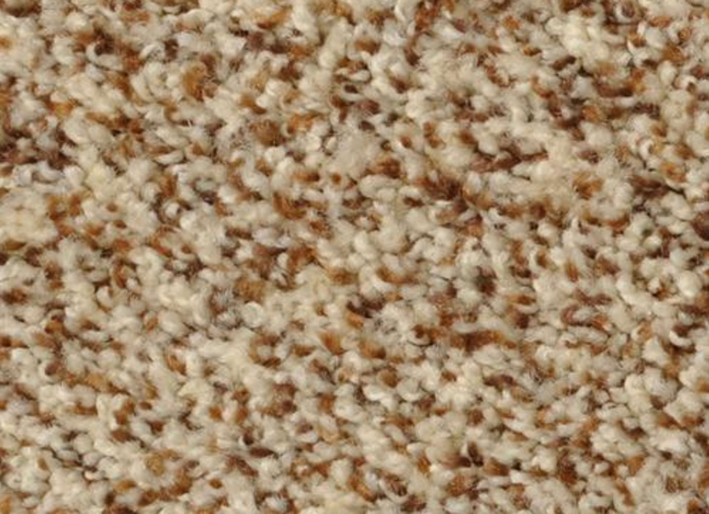 BOMBAY in Pearl Cantina Carpet