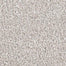 Star Struck in Parchment Carpet
