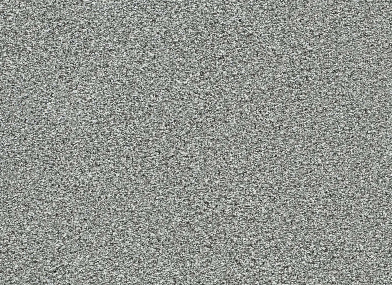 Lucky Penny I in Sky Ridge Carpet