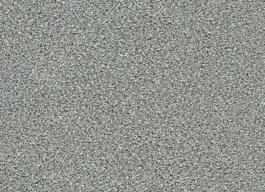 Lucky Penny I in Sky Ridge Carpet