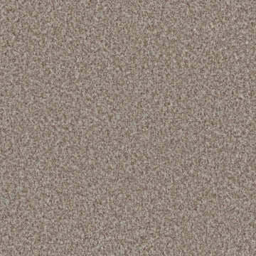 Terrestrial