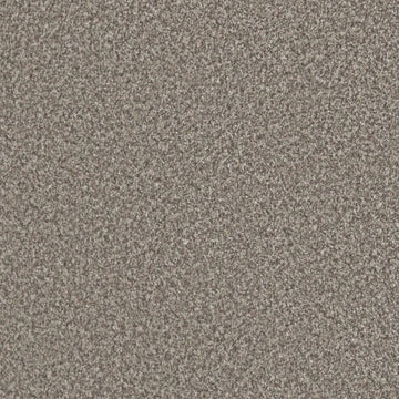Meteor