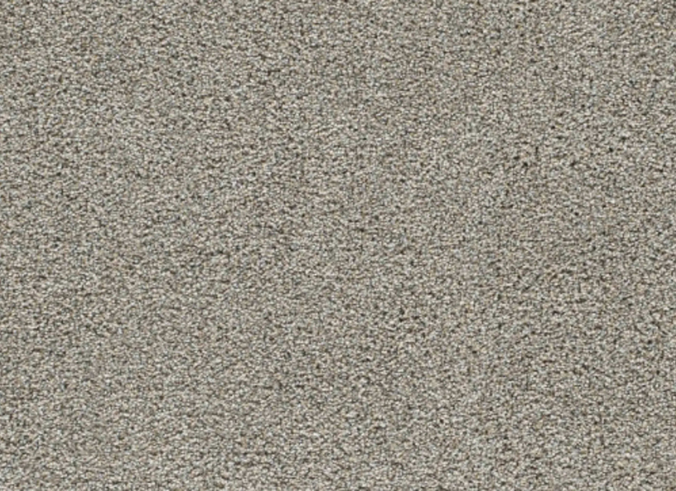 Gold Standard III in Sterling Carpet