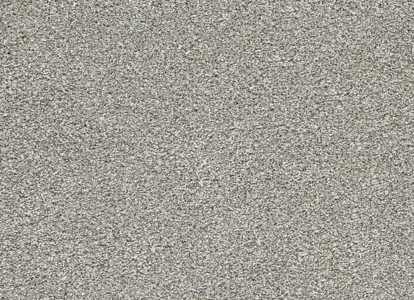 Lucky Penny III in Frost Carpet