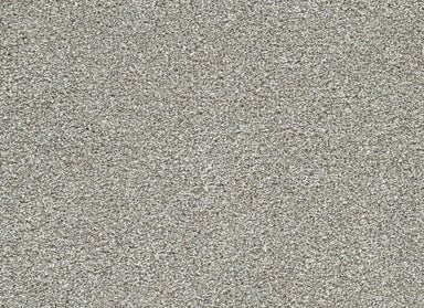 Lucky Penny III in Frost Carpet