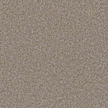 Terrestrial