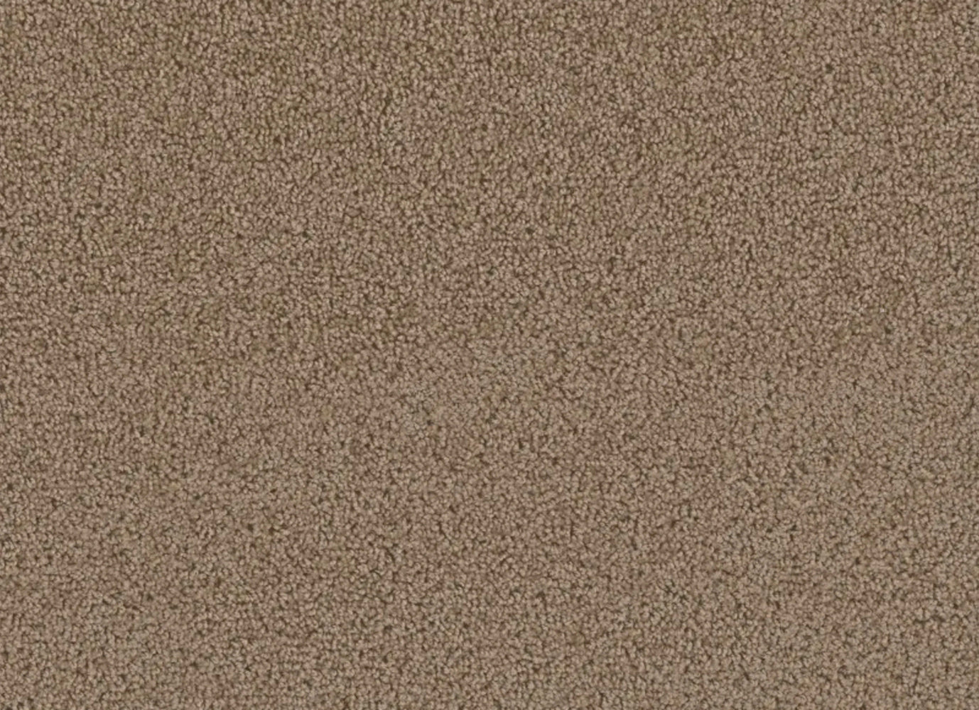 First  Step in Sable Carpet