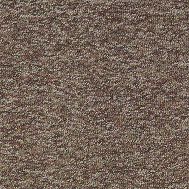 Freedman in Pumpkin Patch Carpet