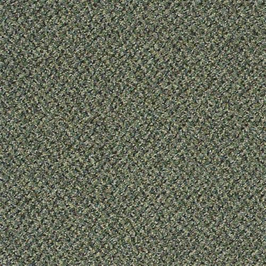 Sp294 in Outstanding Carpet