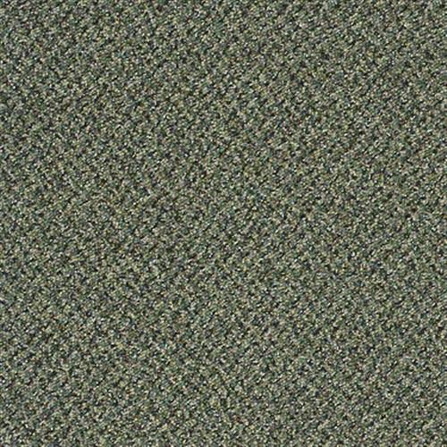 Sp294 in Outstanding Carpet