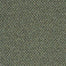 Sp294 in Outstanding Carpet
