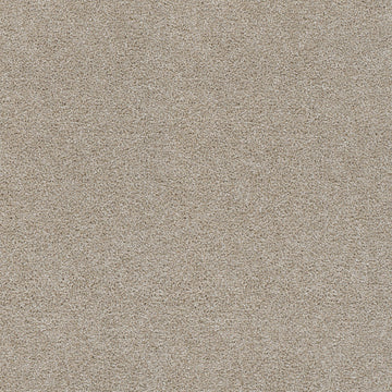 Beach Sand