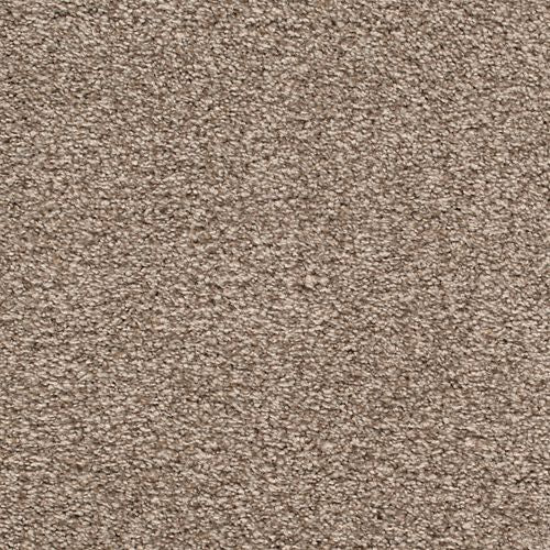 Style Manor in Dogwood Carpet