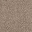 Style Manor in Dogwood Carpet