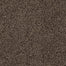 Mission Ridge in Steeple Carpet