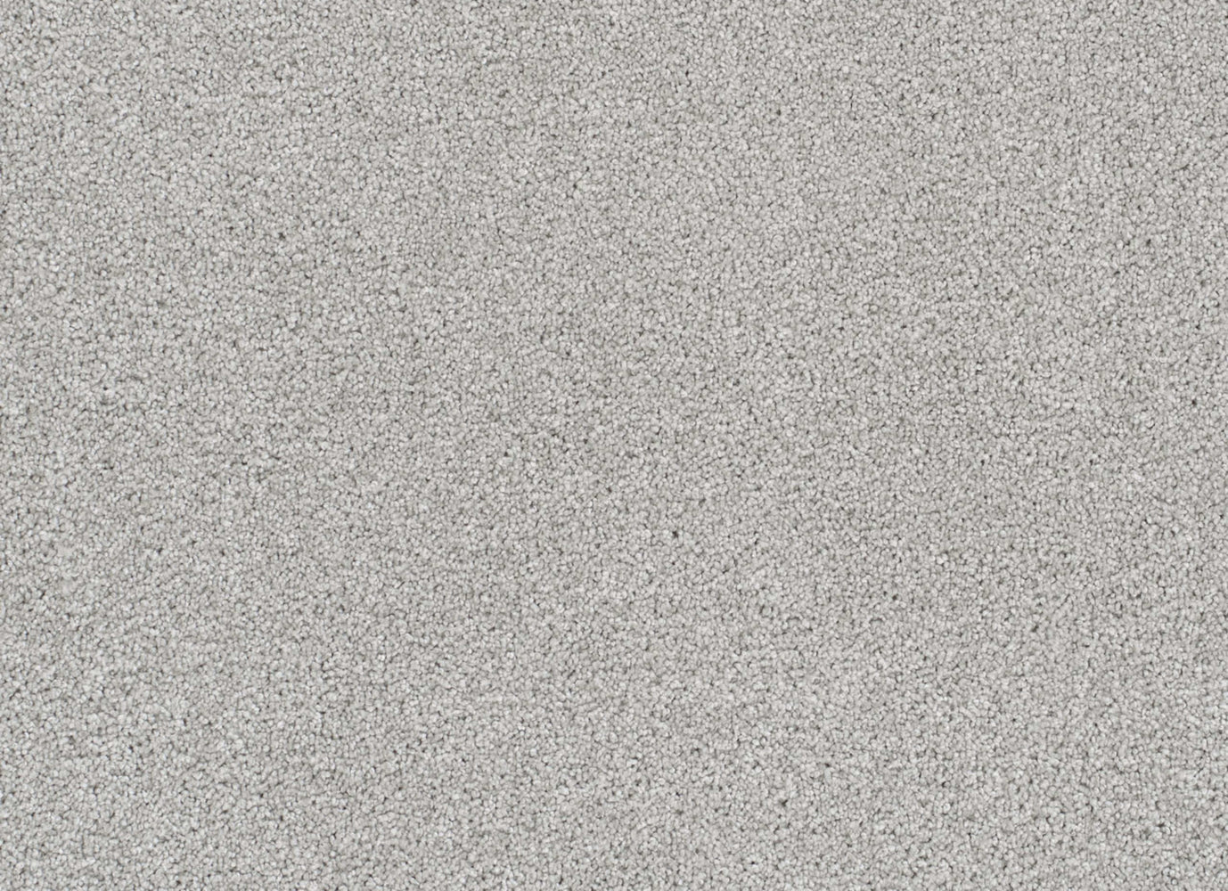 Rock Solid III in Morning Dove Carpet