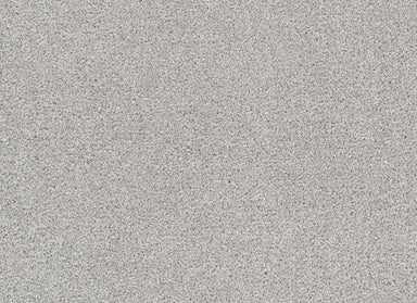 Rock Solid III in Morning Dove Carpet
