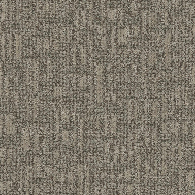 Artistic Elegance in Acorn Trail Carpet