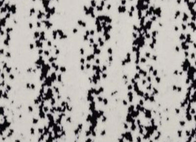 Bold Sophistication in Prestige Carpet