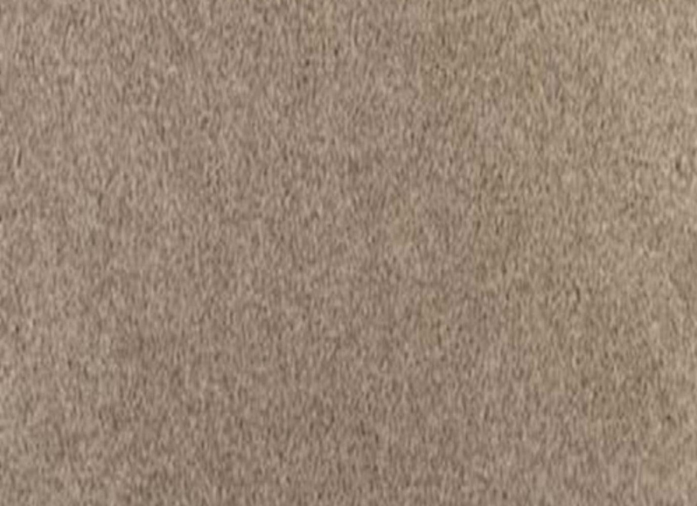 Delightful Dream in Indian River Carpet