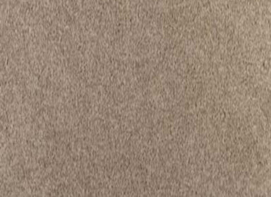 Delightful Dream in Indian River Carpet