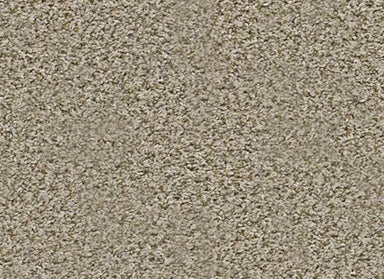 TB MOTIVATION in Sand Swept Carpet