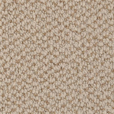 Authentic Living in Tempest Carpet