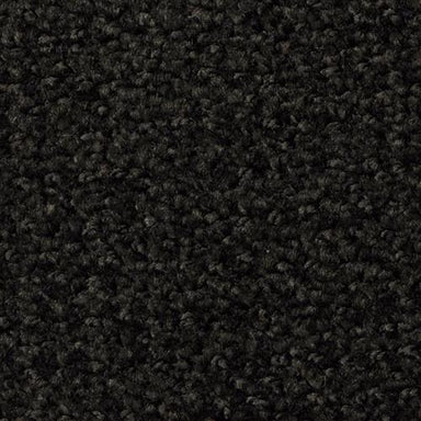 Boston Common in Onyx Carpet