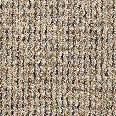 Sp650 in Volumize Carpet