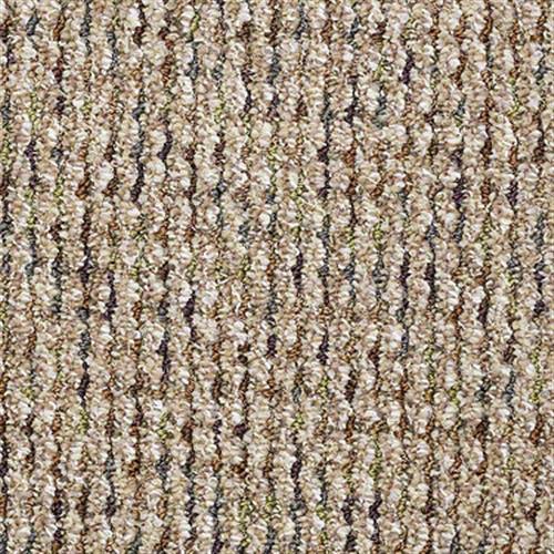 Sp650 in Volumize Carpet