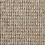 Sp650 in Volumize Carpet