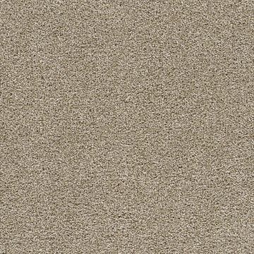 Dust