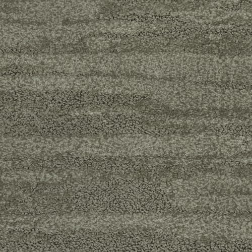 Cirrus in Moss Carpet