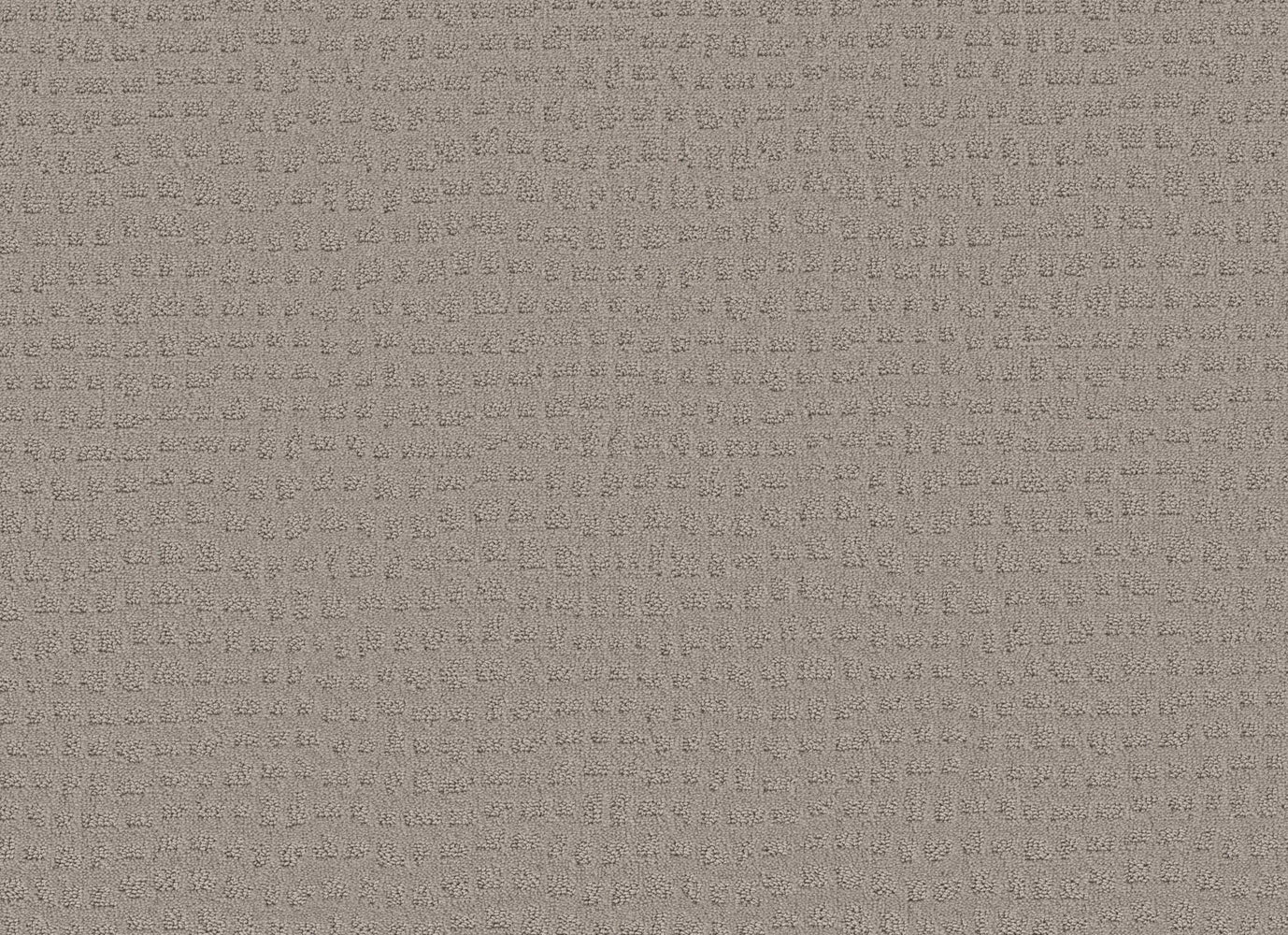 DIABLO WAY in Ash Mist Carpet