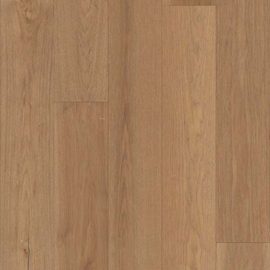 DEWPORT HICKORY in Highlands