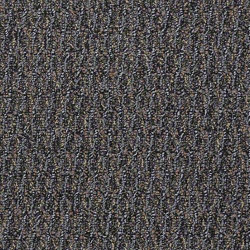Sp298 in Signify Carpet