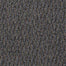 Sp298 in Signify Carpet